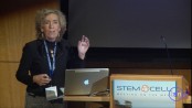 Stem Cells in Silence, Action & Cancer